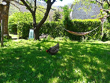 Garten