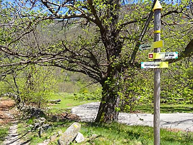 Wegweiser